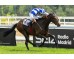  Carrera: P.Rheffissimo Caballo: Scholarship Monta: R.Sousa